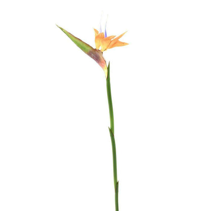 Fleur à la tige Strelitzia artificiel - décoration intérieure - H.80cm orange - M1