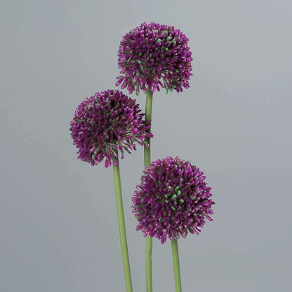 Fleur artificielle Allium ail d'ornement set de 3 - composition bouquet - H.46cm pourpre - Z3
