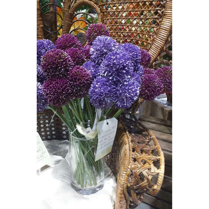 Fleur artificielle Allium ail d'ornement set de 3 - composition bouquet - H.46cm pourpre - Z3