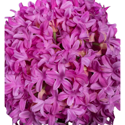 Fleur artificielle Allium tige d'ail d'ornement - composition bouquet - H.79cm fuchsia R4