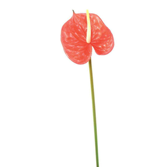 Fleur artificielle Anthurium - décoration florale - H.58cm rouge - A4