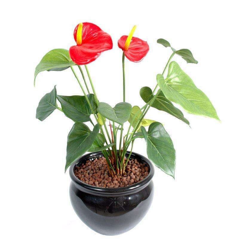 Fleur artificielle Anthurium en piquet - plante d'intérieur - H.45cm rouge A4
