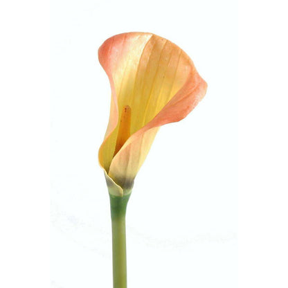 Fleur artificielle Calla Lily - création bouquet - H.90 cm rose orange A3