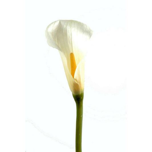 Fleur artificielle Calla Lily - création de bouquet - H.90cm blanc D4