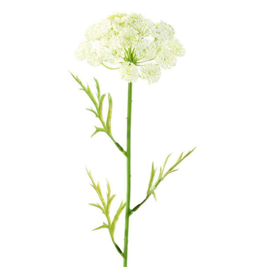 Fleur artificielle Daucus - création bouquet pour intérieur - H. 55cm blanc F1