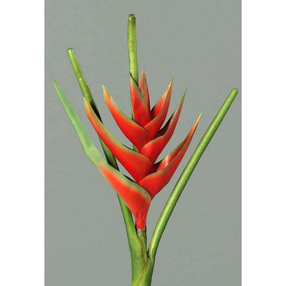 Fleur artificielle Héliconia bec de perroquet - fresh touch haute qualité - H.126cm rouge - P2