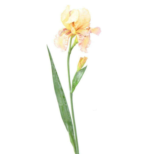 Fleur artificielle iris 2 fleurs - décoration d'intérieur - H. 70cm crème violet - I2