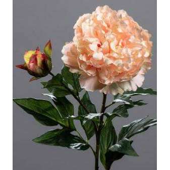 Fleur artificielle Pivoine haut de gamme - composition florale - H.88cm crème rose R1