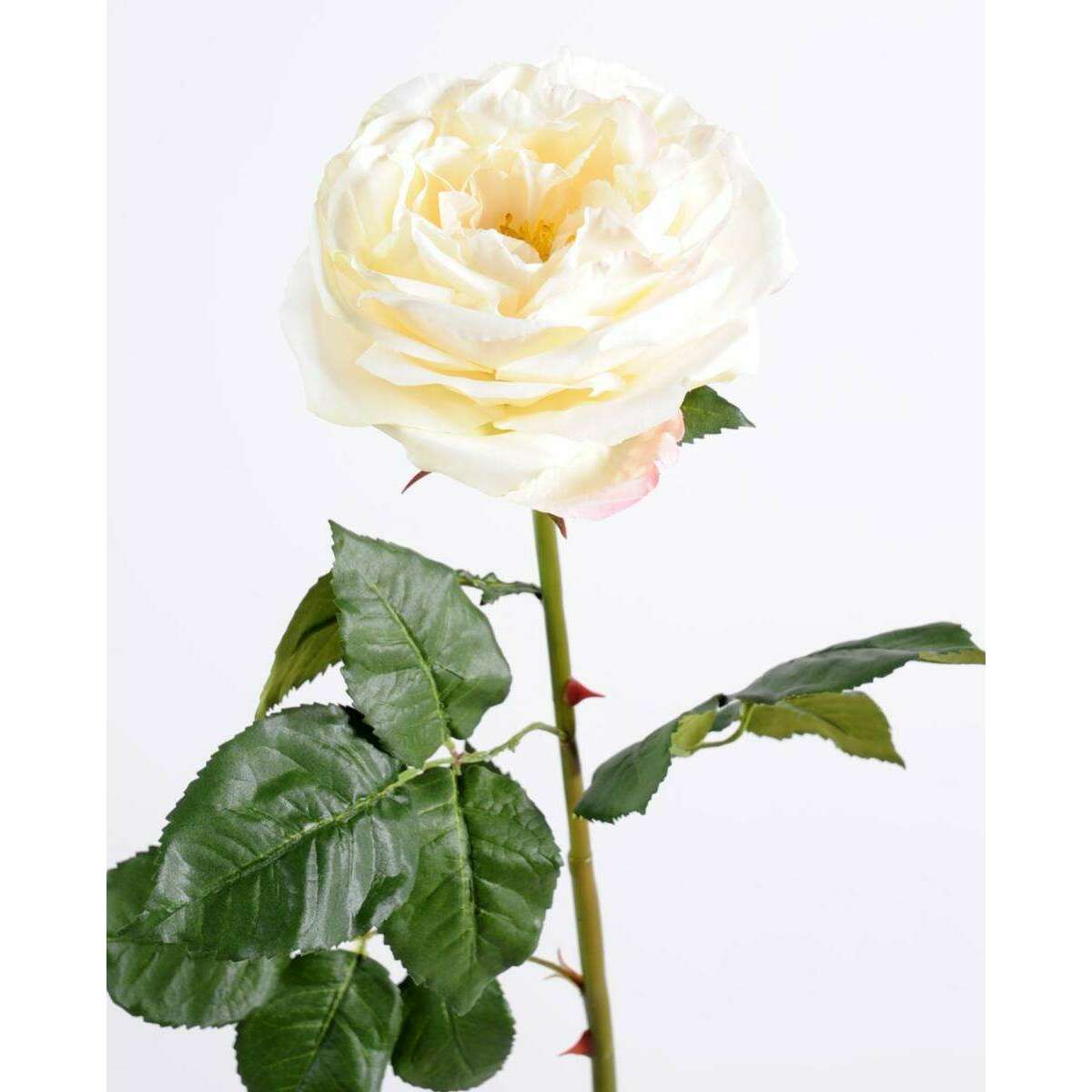 Fleur artificielle rose Anglaise Ø.14cm - haute gamme - H.85cm crème L1
