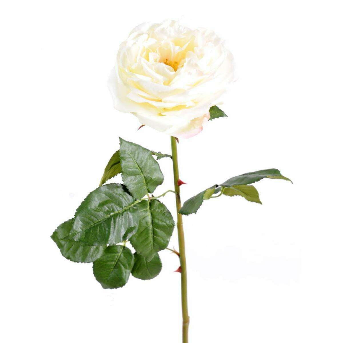 Fleur artificielle rose Anglaise Ø.14cm - haute gamme - H.85cm crème L1