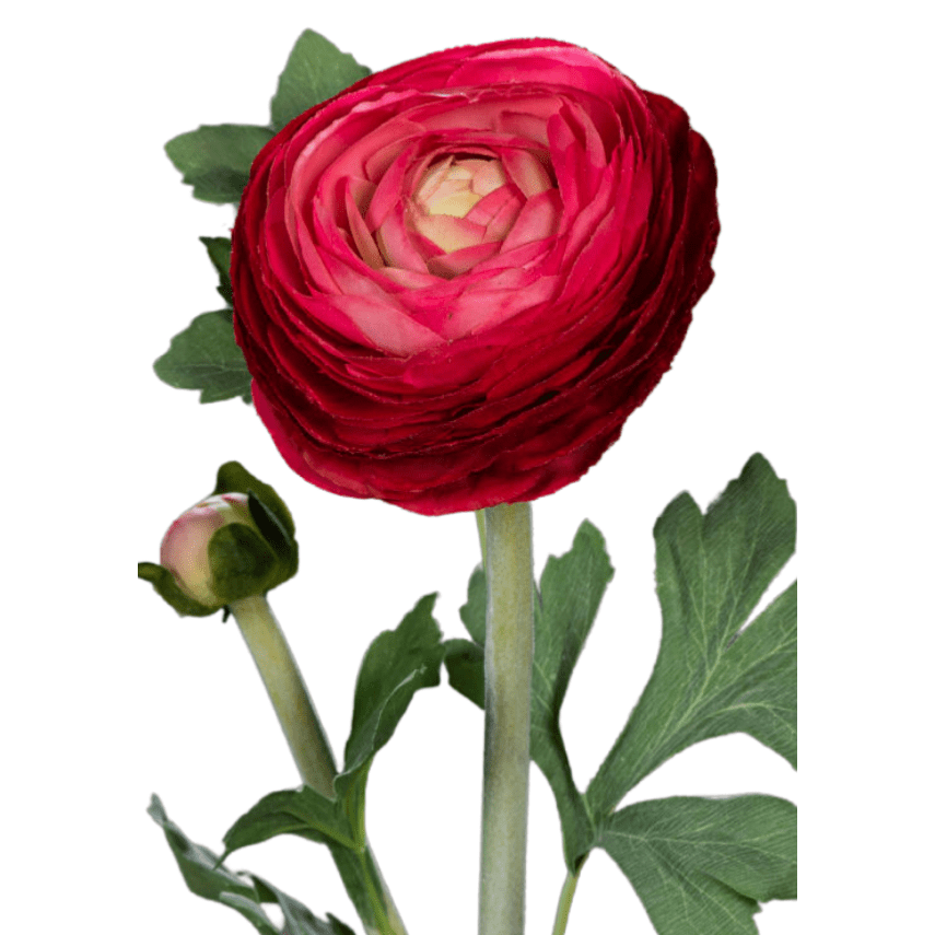 Fleur artificielle tige de Renoncule - création de bouquet - H.57cm rouge - R1