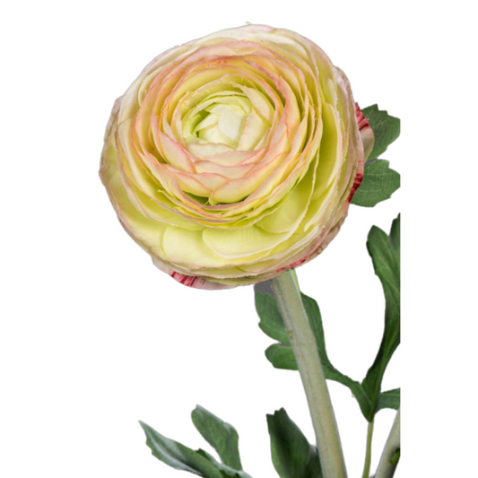 Fleur artificielle tige de Renoncule - création de bouquet - H.57cm vert jaune R1