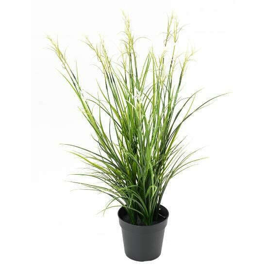 Graminée artificielle Acorus fleuri en pot - plante d'extérieur - H.70cm vert blanc -