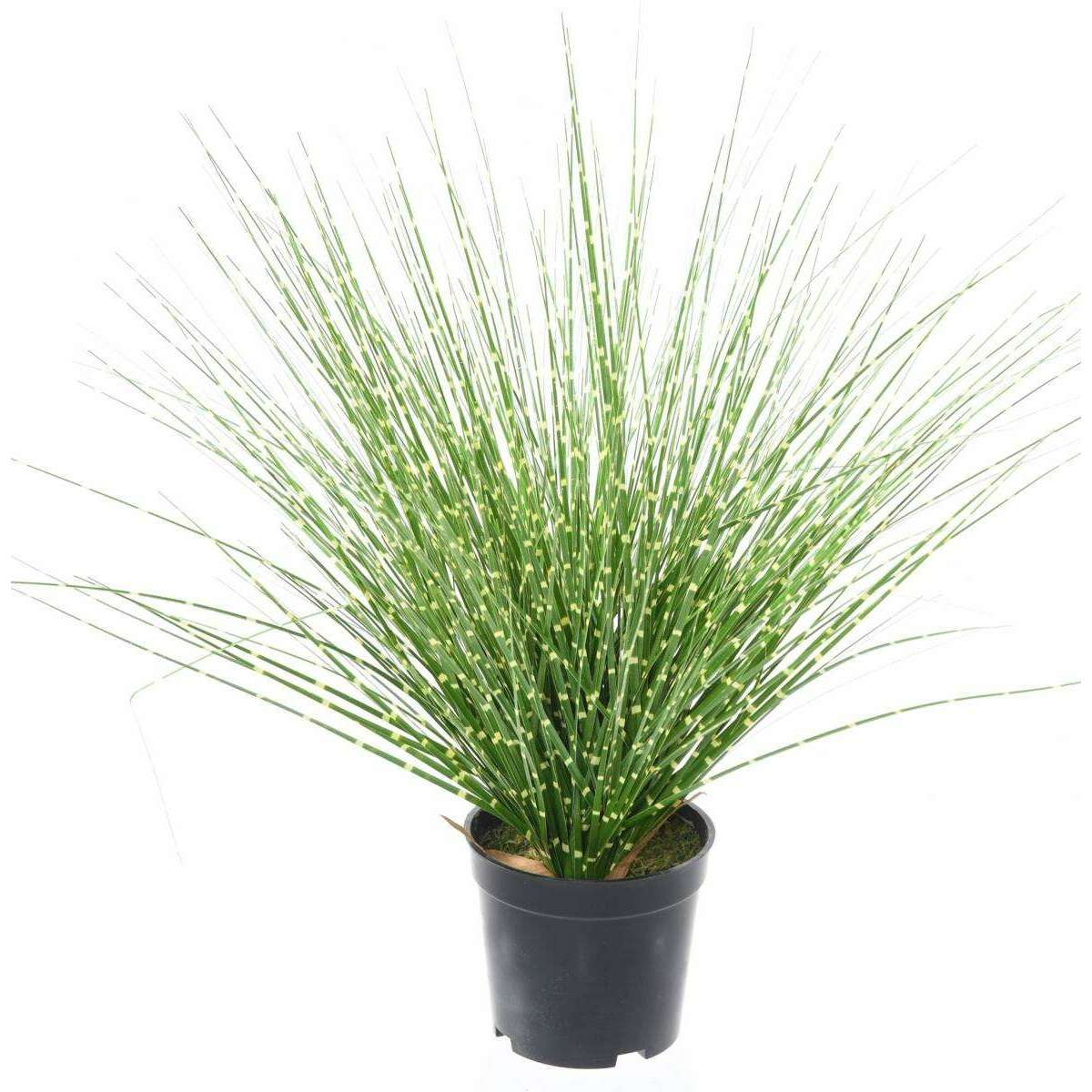 Graminée artificielle Miscanthus sinensis Zebrinus - intérieur - H.45cm vert jaune M2
