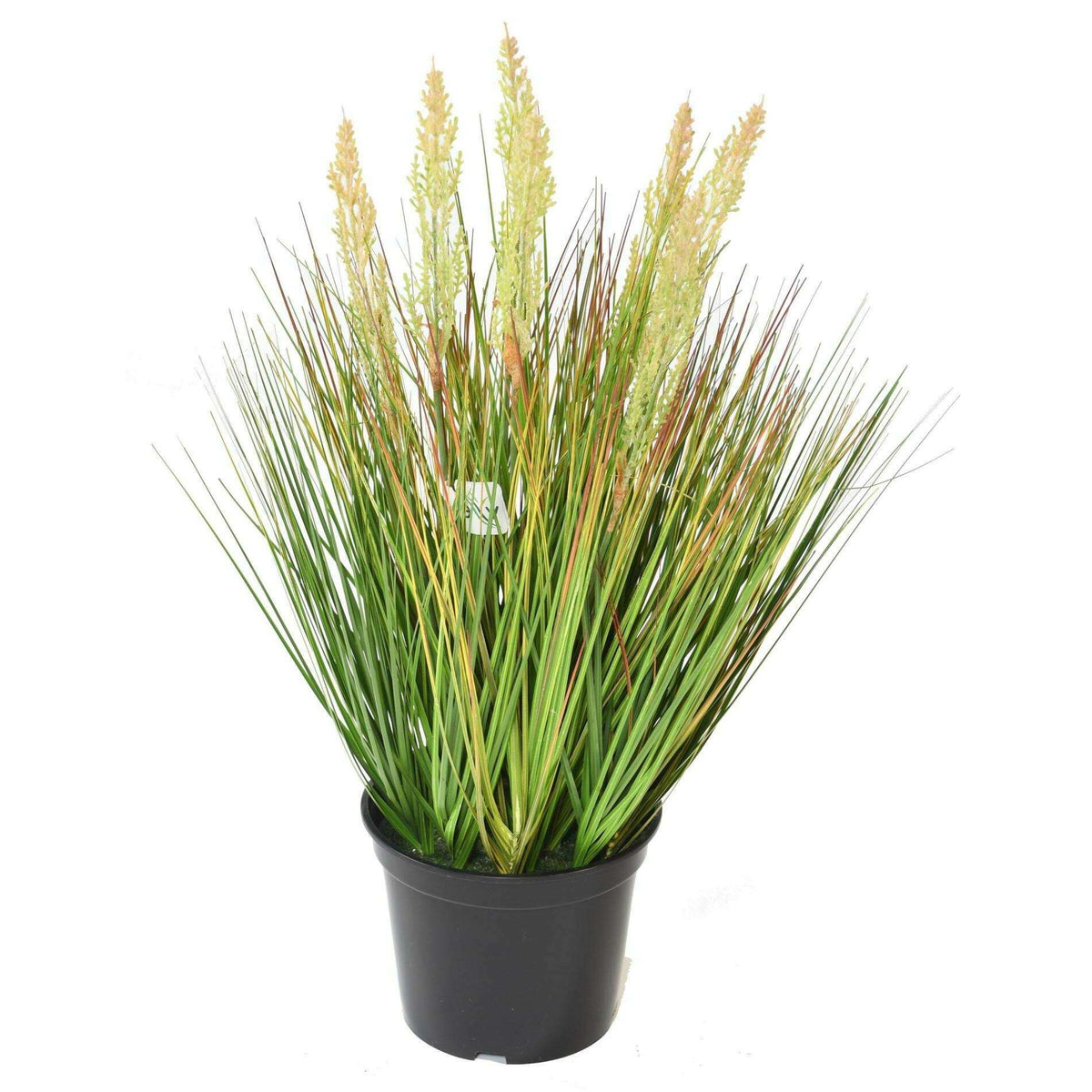 Graminée artificielle Onion Grass Graine en pot - plante d'intérieur - H.60cm-V2