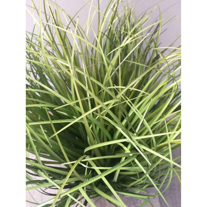 Herbe artificielle socle mousse - plante graminée touffe - H.40cm vert Z1