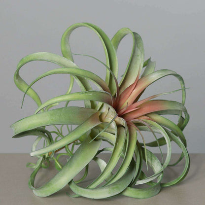 Mini plante artificielle Tillandsia en piquet - décoration d'intérieur - H.28cm Q1