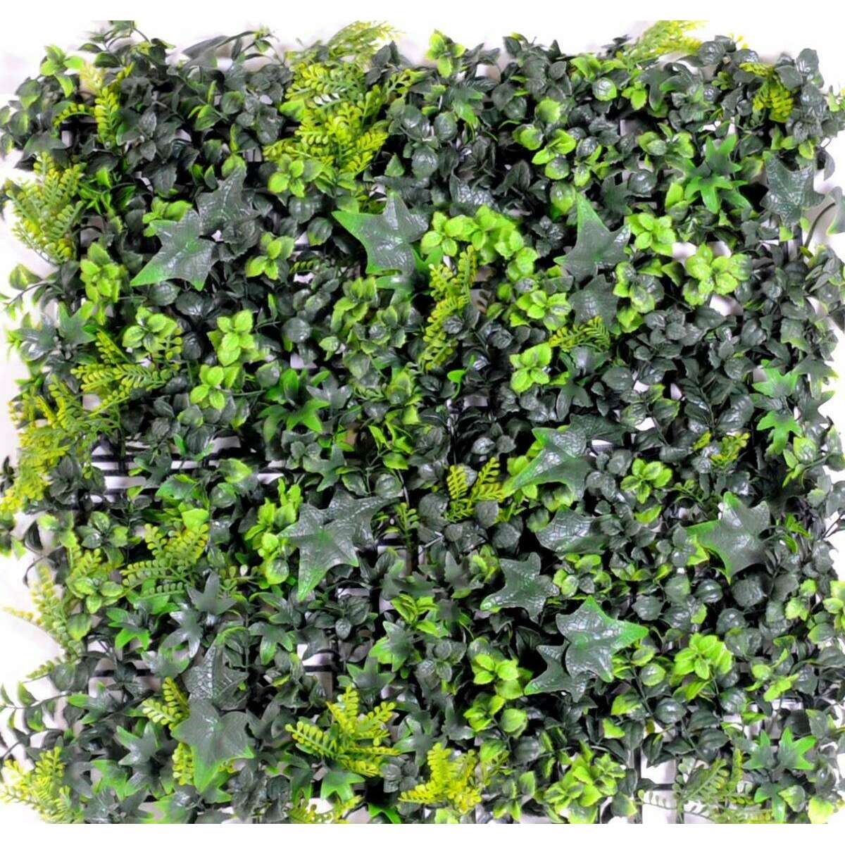 Mur végétal artificiel fond de lierre et buis - décoration murale - 50x50cm vert - B5
