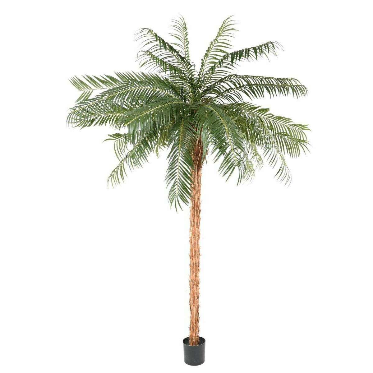 Palmier artificiel Phoenix - plante intérieur - H.260cm vert P