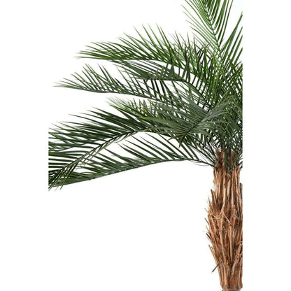 Palmier artificiel Phoenix PLAST - arbre pour extérieur - H.290cm vert