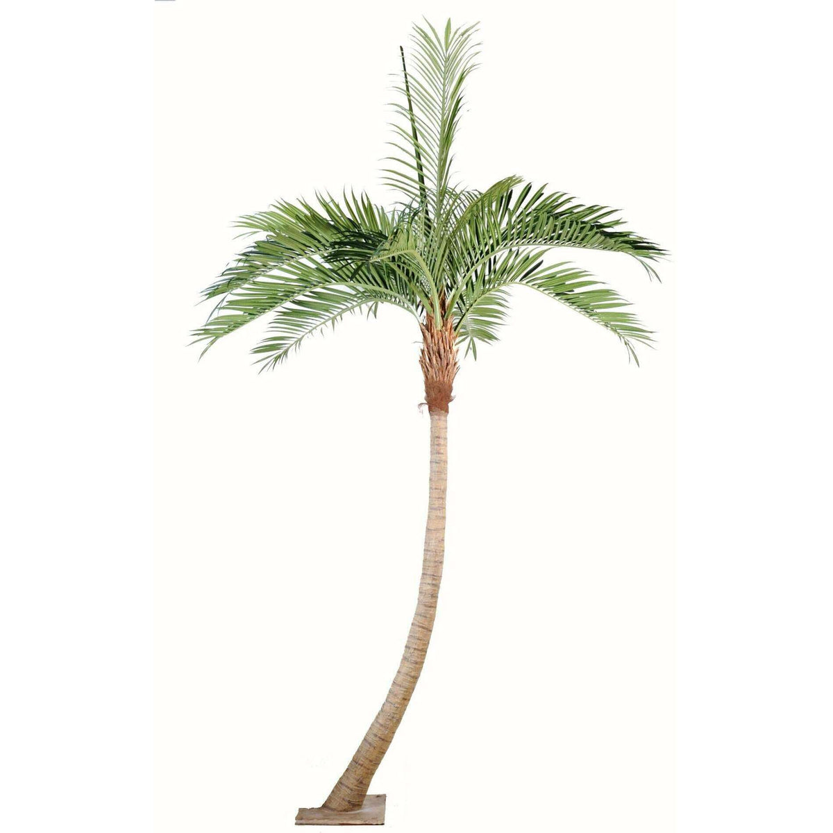 Palmier coconut courbe new - plante artificielle d'intérieur - H.270cm