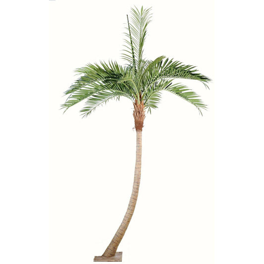 Palmier coconut courbe new - plante artificielle d'intérieur - H.270cm