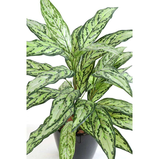Plante artificielle Aglaonema en piquet -plante d'intérieur - H.80cm vert-B2