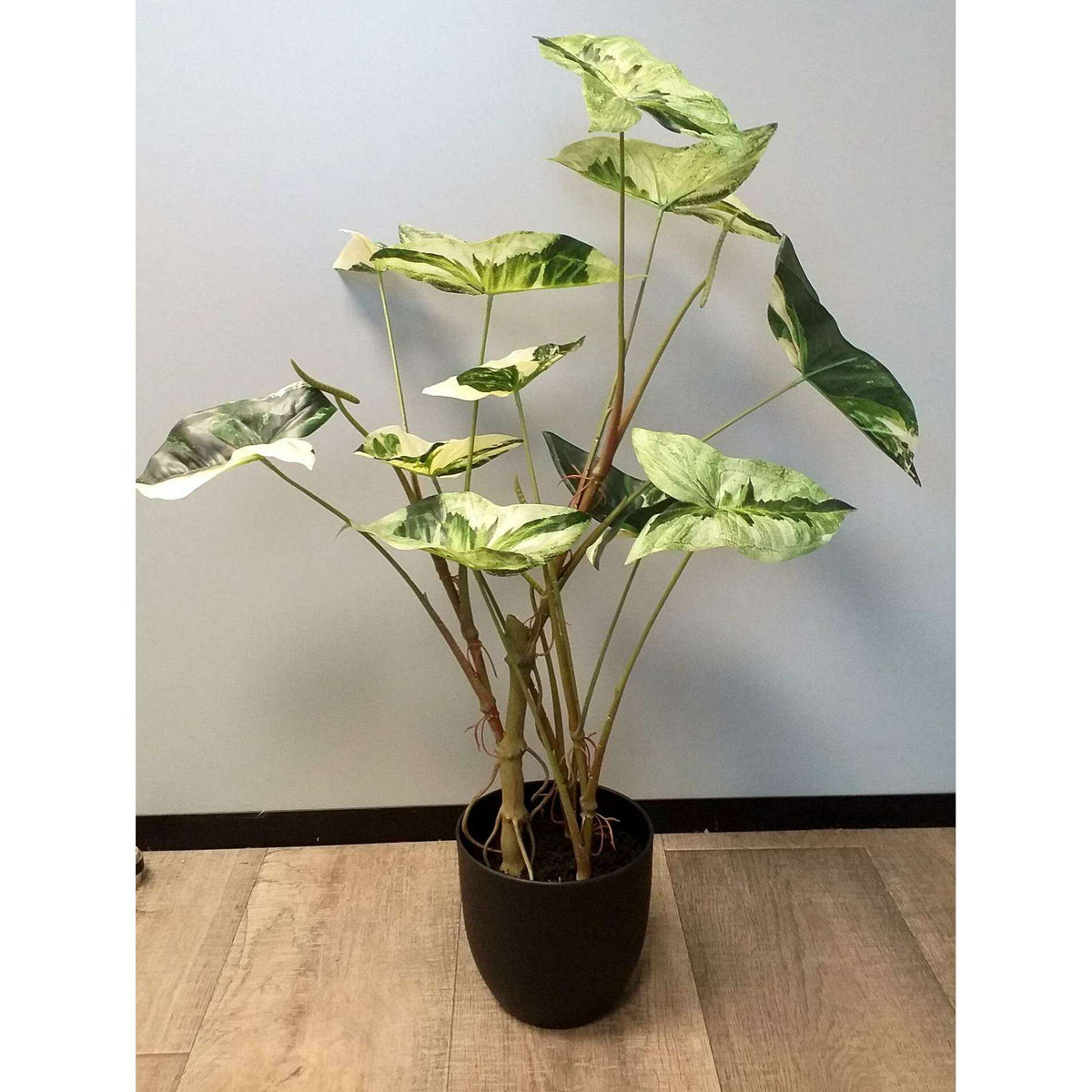 Plante artificielle Alocasia en pot - plante d'intérieur - H.75cm vert crème - Q3