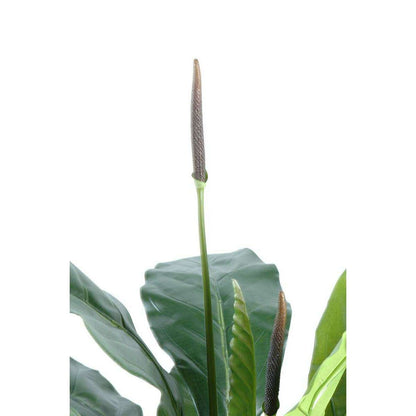 Plante artificielle Anthurium jungle king - décoration d'intérieur - H.130cm vert