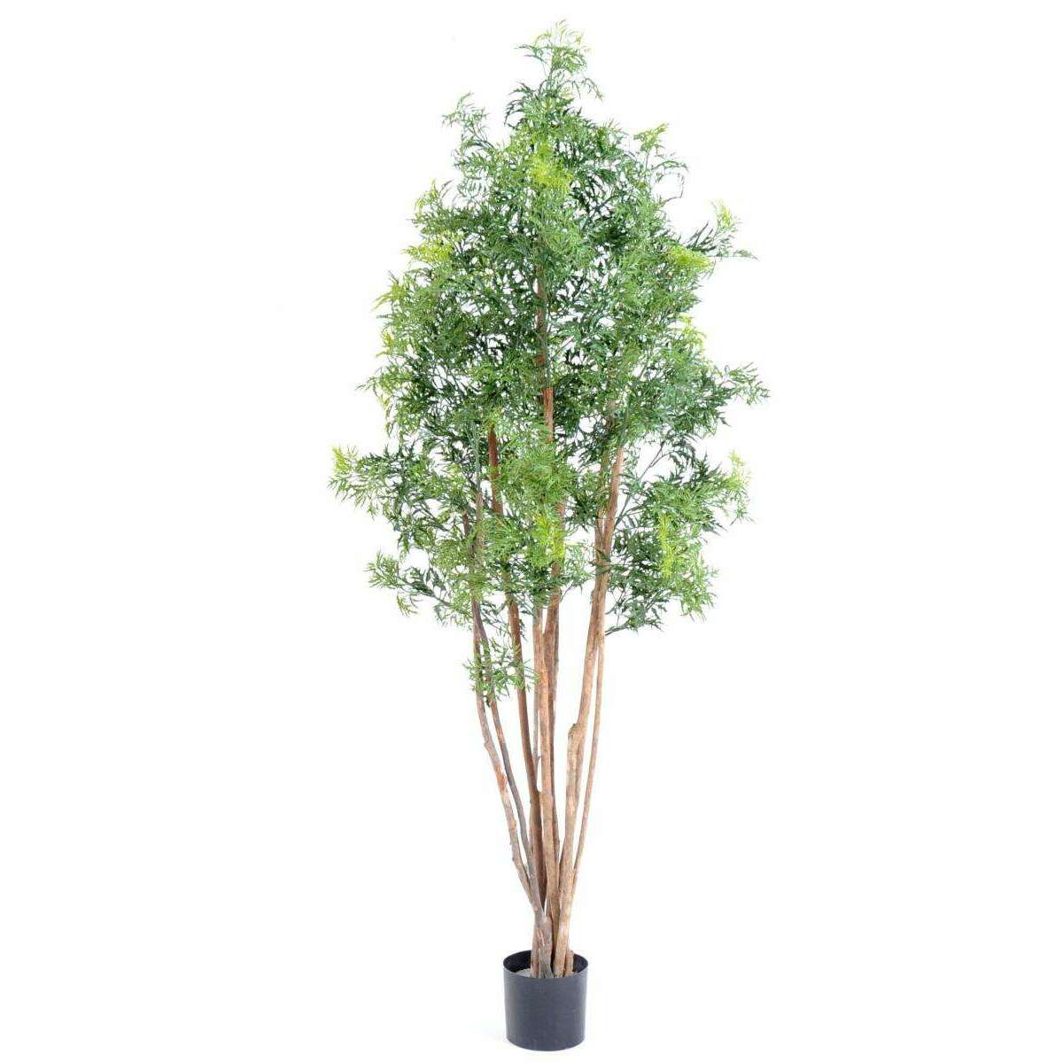 Plante artificielle Aralia Ming - intérieur extérieur - H.180cm vert A