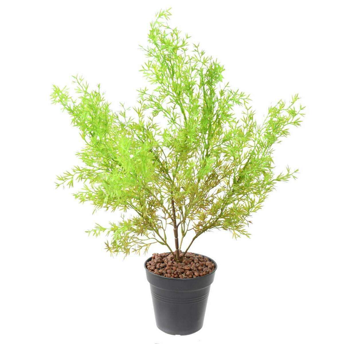 Plante artificielle Asparagus plastique - intérieur extérieur - H.62cm vert A1