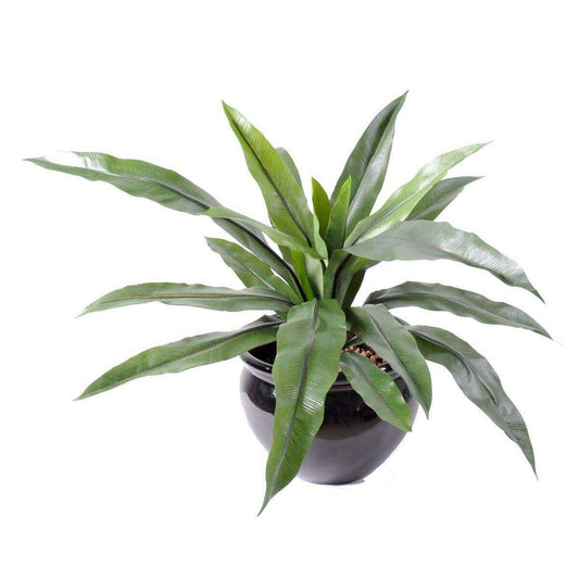 Plante artificielle Asplenium 15 feuilles -plante d'intérieur - H.40cm vert - A6