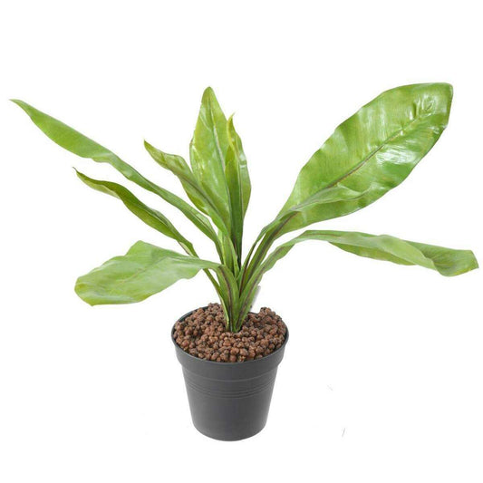 Plante artificielle Asplenium en piquet -plante d'intérieur - H.45cm vert - A2