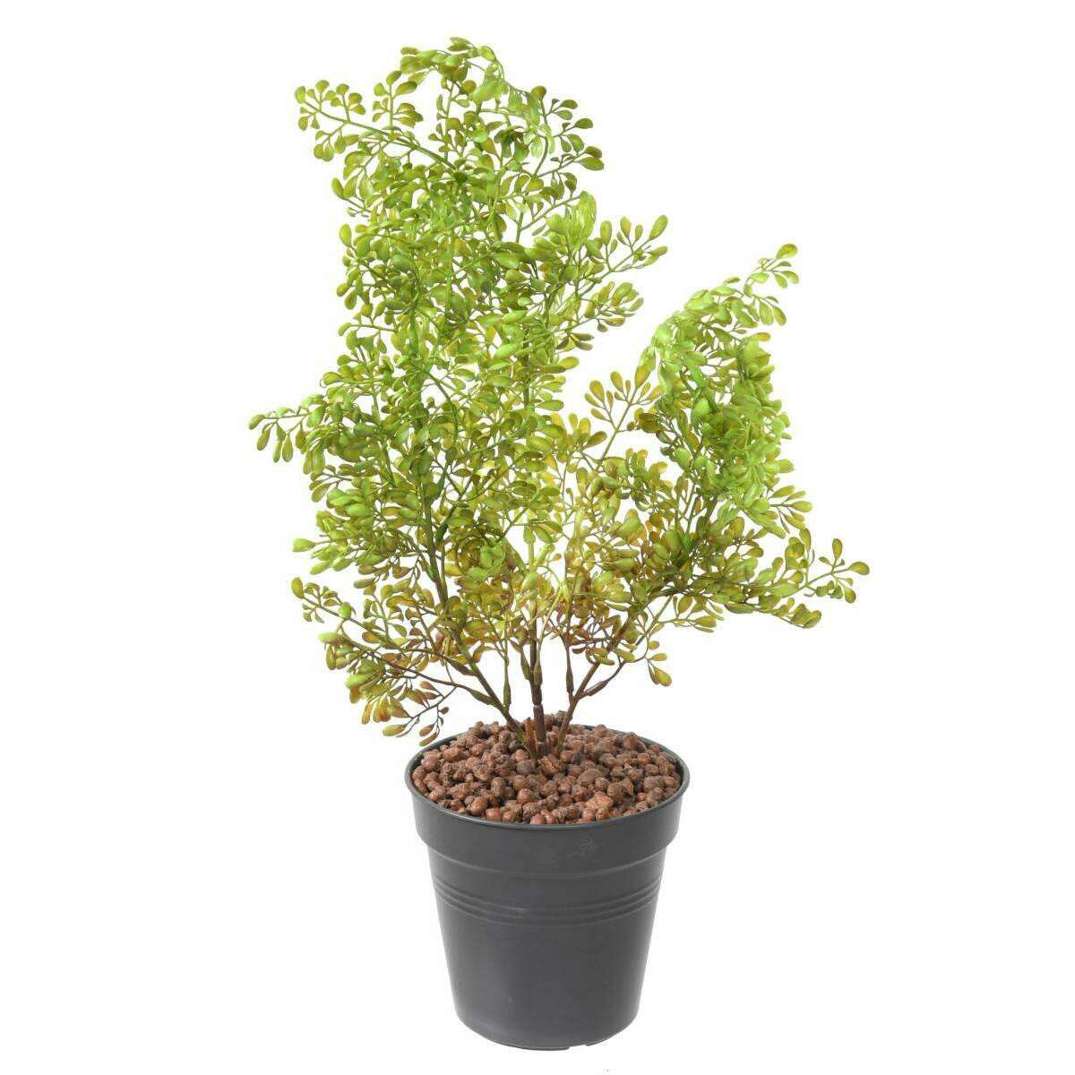 Plante artificielle Buxus en piquet - intérieur extérieur - H.50cm vert foncé C5