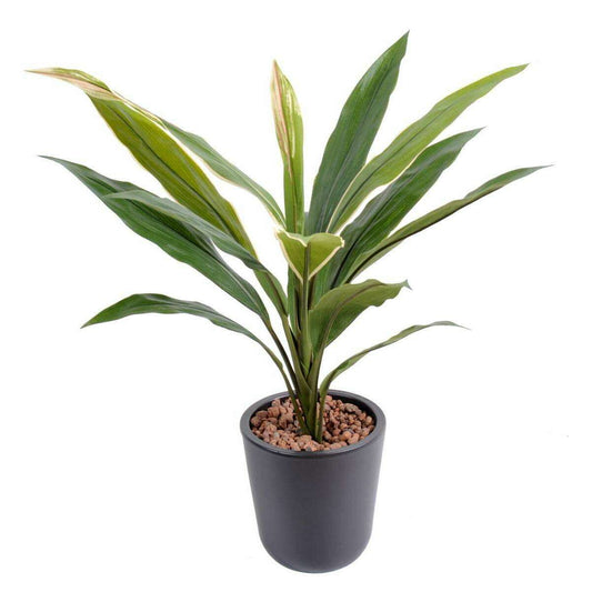 Plante artificielle Dracaena Cordyline en piquet - intérieur - H.60 cm vert jaune E4
