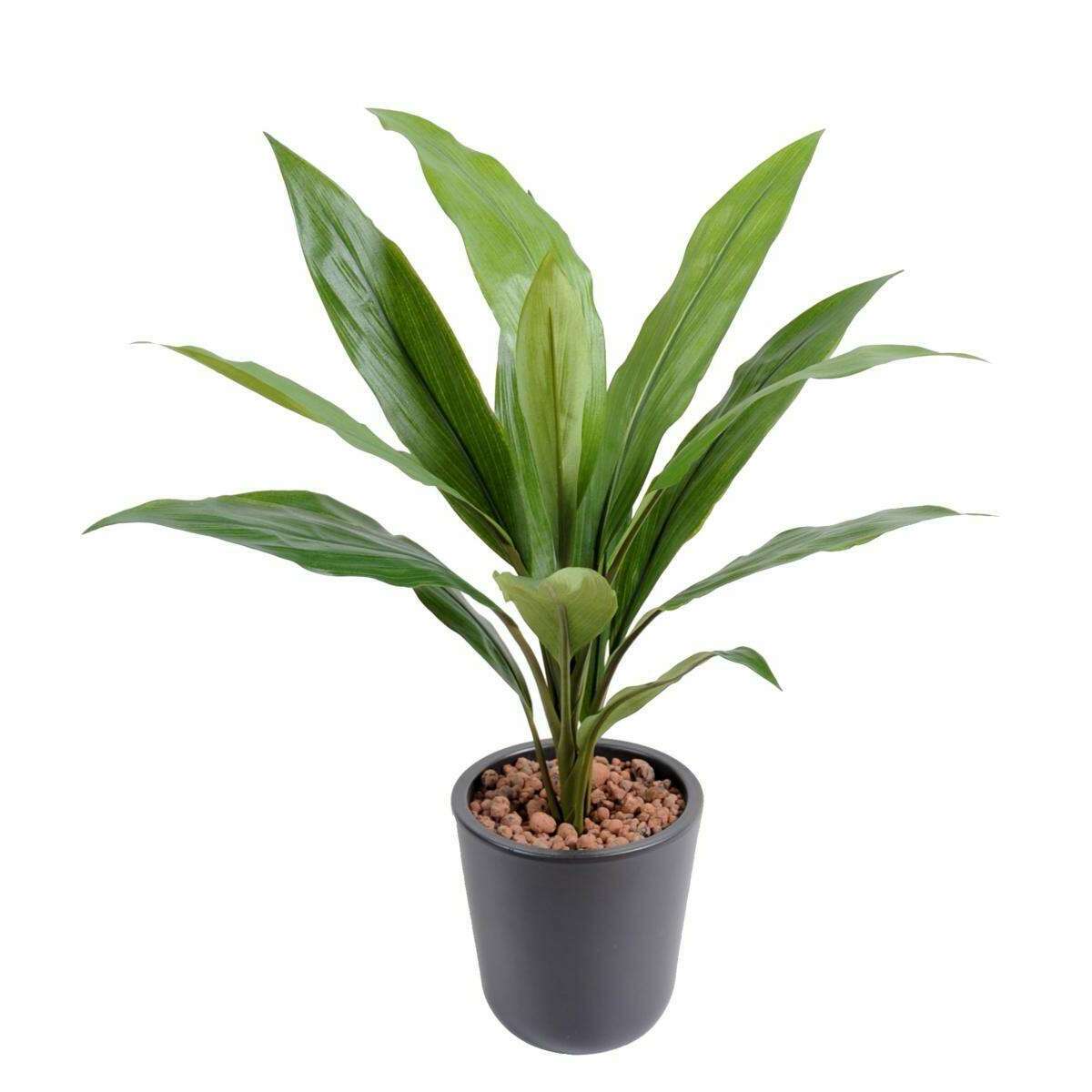 Plante artificielle Dracaena Cordyline en piquet - intérieur - H.60cm vert E5