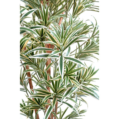 Plante artificielle Dracaena Reflexa - décoration d'intérieur - H.110cm vert jaune