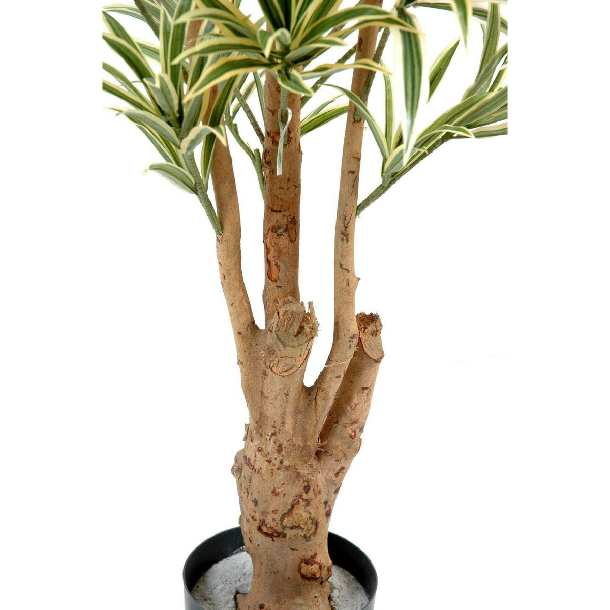 Plante artificielle Dracaena Reflexa - décoration d'intérieur - H.110cm vert jaune