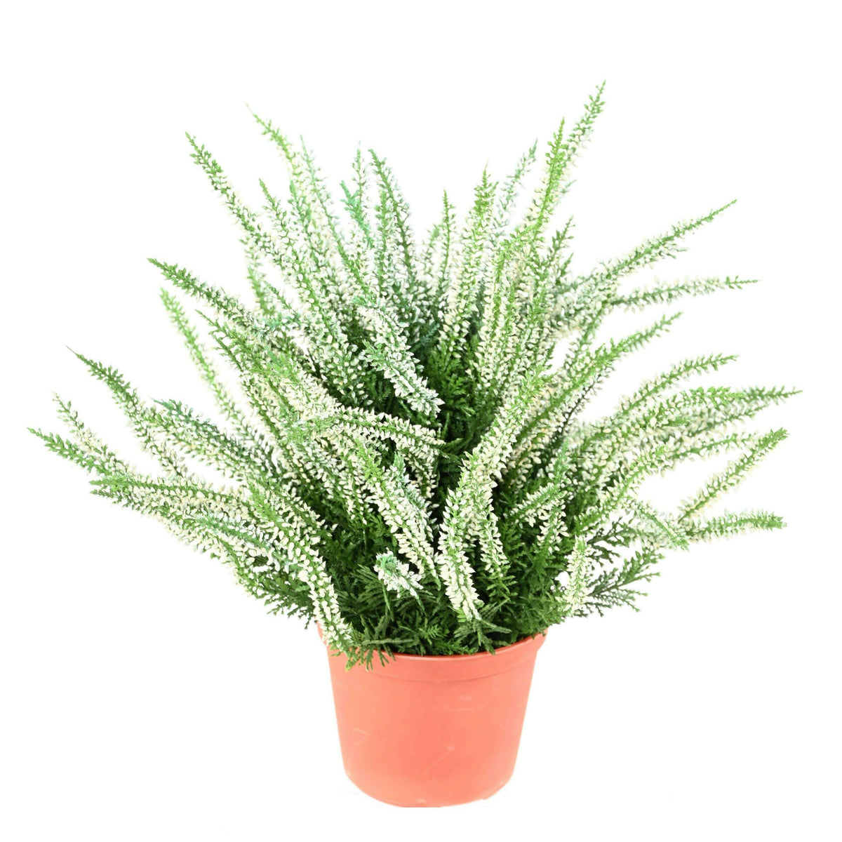 Plante artificielle Fleurie Bruyère plastique en pot - intérieur extérieur - H.35cm blanc - C2
