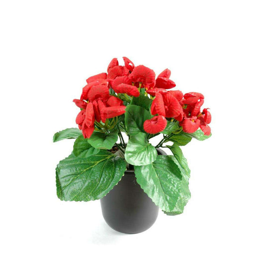 Plante artificielle fleurie Calcéolaire - Plante synthétique - H.30 cm rouge E1