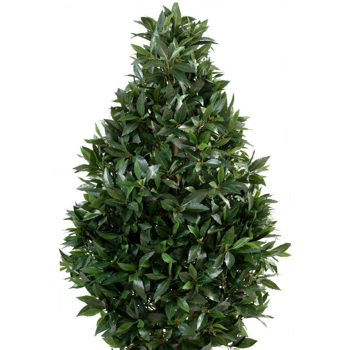 Plante artificielle Laurier topiaire large - plante d'intérieur - H.160cm vert