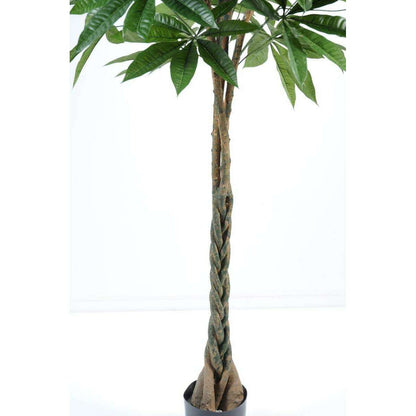 Plante artificielle Pachira tressé - arbre pour intérieur - H.180cm