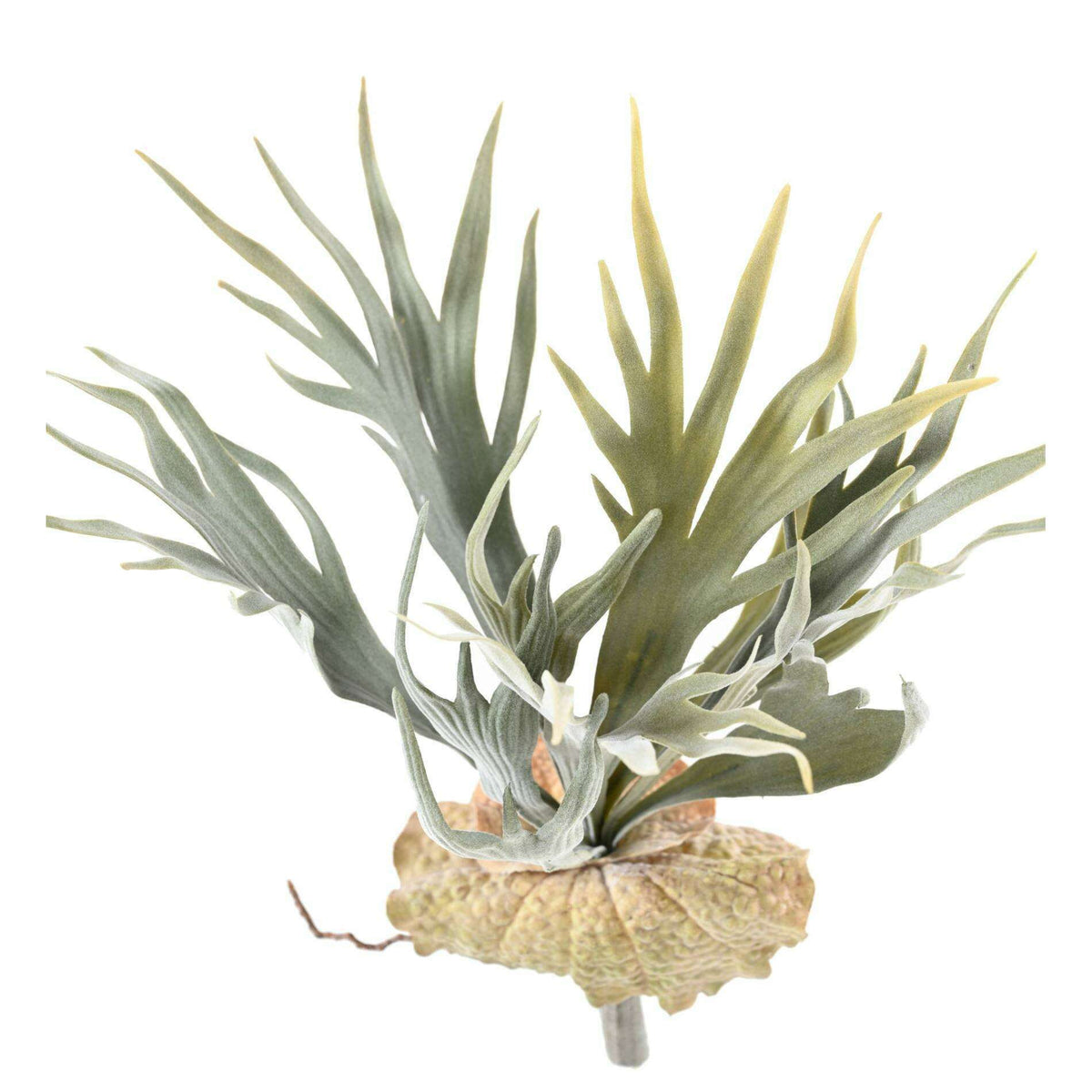 Plante artificielle Platycerium en piquet - fougère corne d'élan - H.30cm vert L4