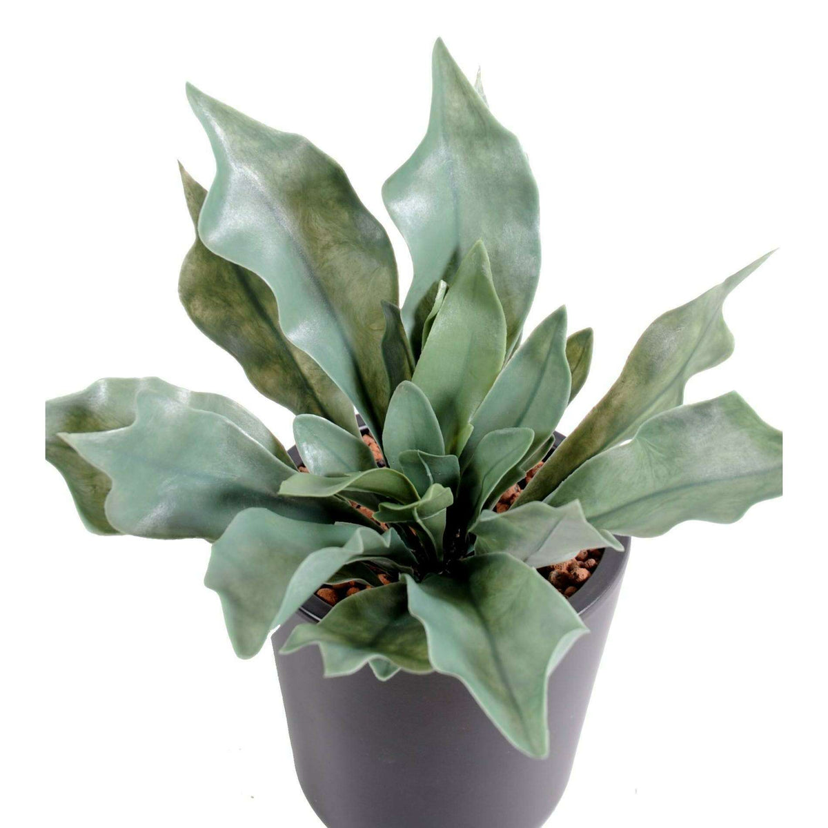 Plante artificielle Platycerium UV en piquet - fougère corne d'élan - H.25cm vert gris L3