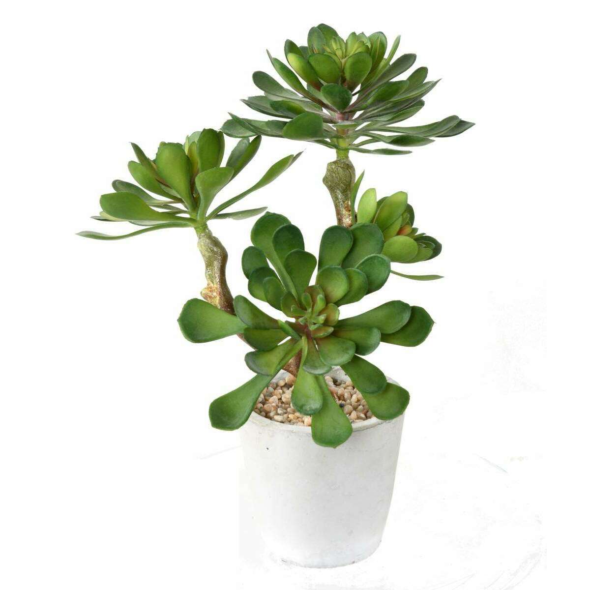 Plante artificielle succulente en pot - plante synthétique d'intérieur - H.30cm L2