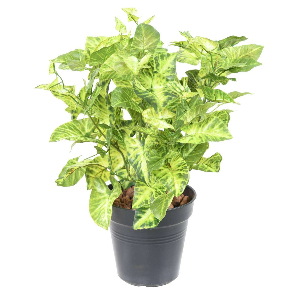 Plante artificielle Syngonium en piquet - feuillage pour intérieur - H.40cm panaché N1