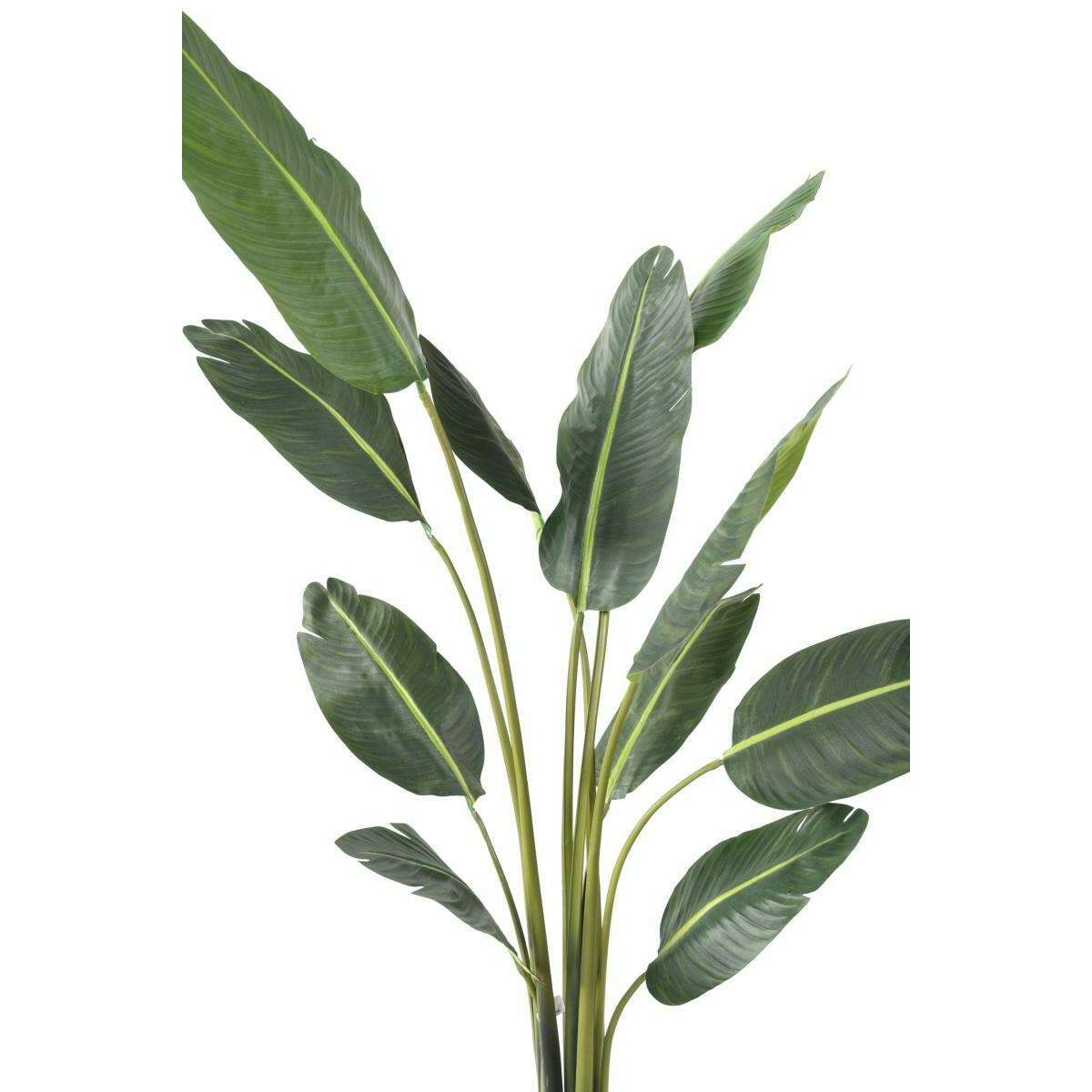 Plante tropicale artificielle Arbre du voyageur - plante intérieur - H.195cm