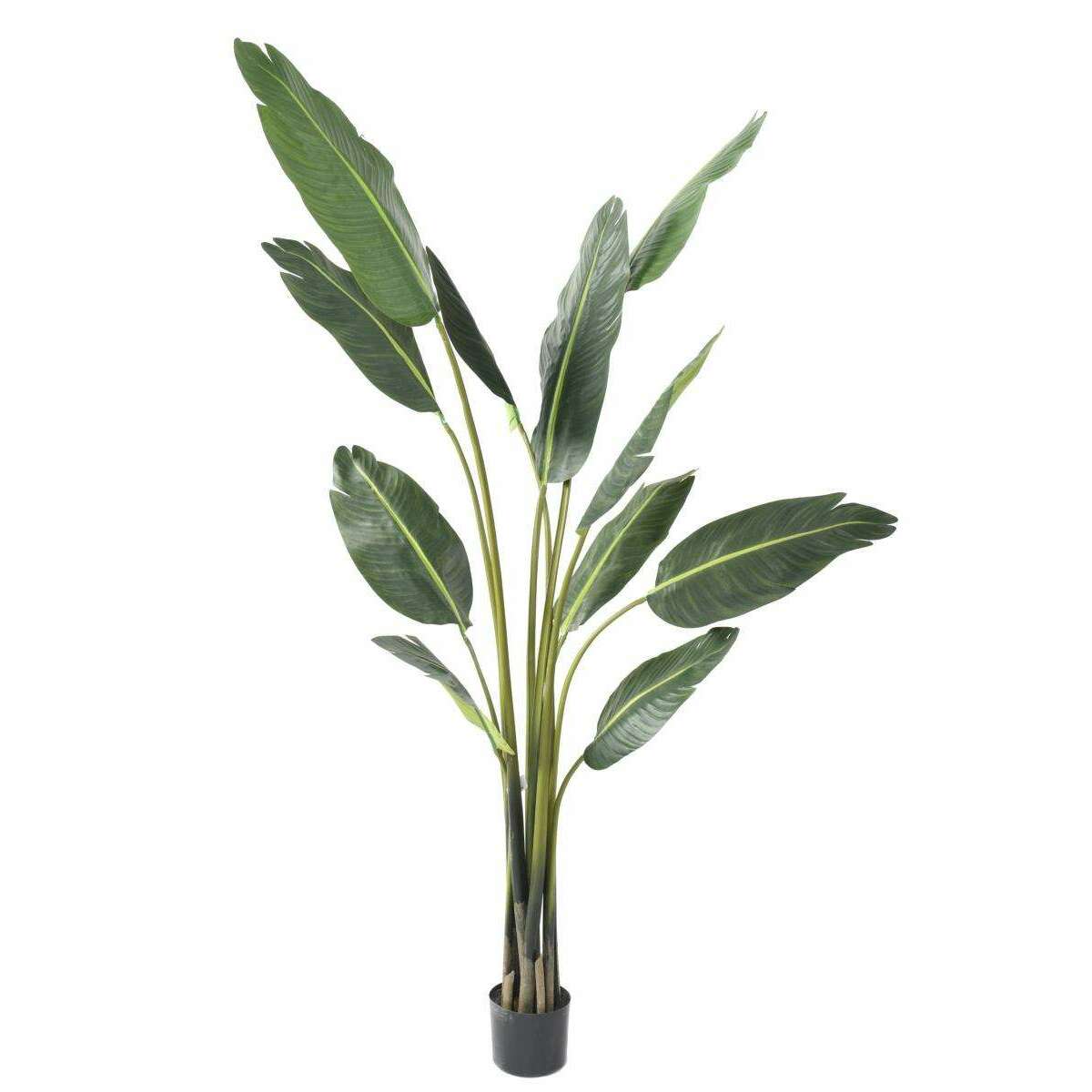 Plante tropicale artificielle Arbre du voyageur - plante intérieur - H.195cm