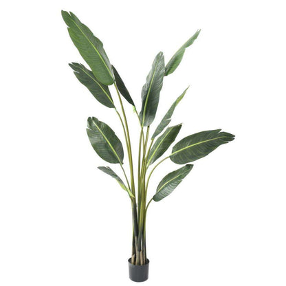 Plante tropicale artificielle Arbre du voyageur - plante intérieur - H.195cm