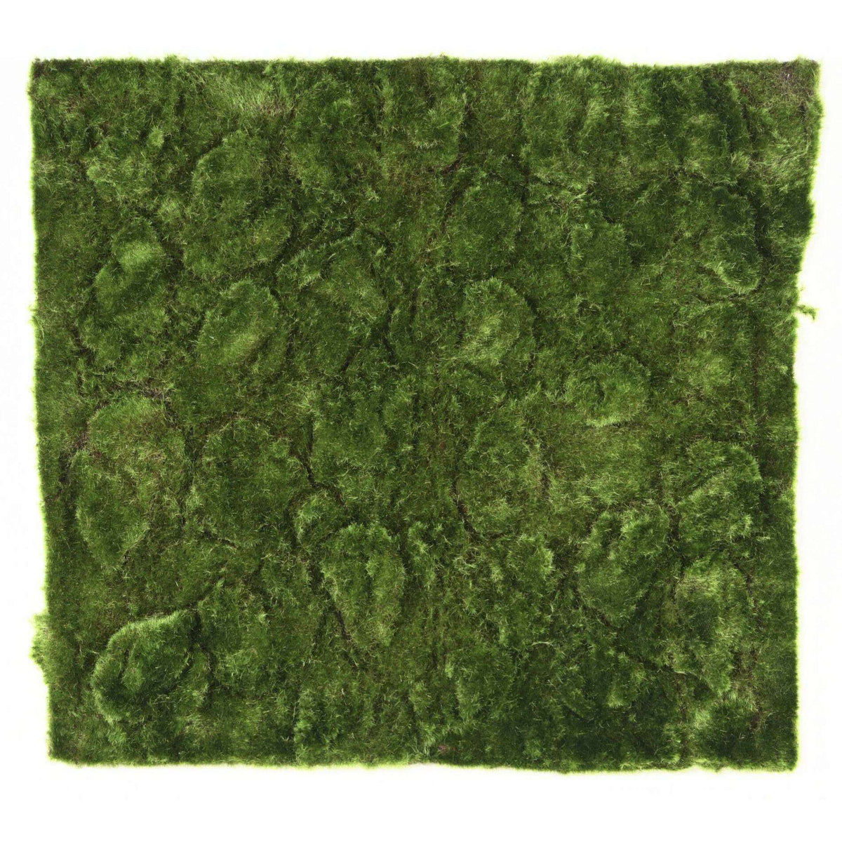 Plaque Mousse New artificielle - panneau végétal - 50x50cm vert ETG MEZZA
